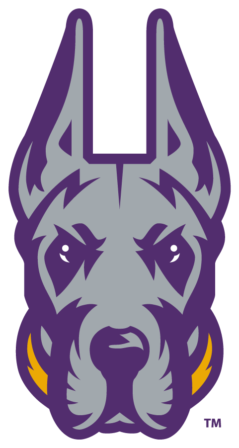 Albany Great Danes 2020-Pres Alternate Logo v7 iron on transfers for T-shirts